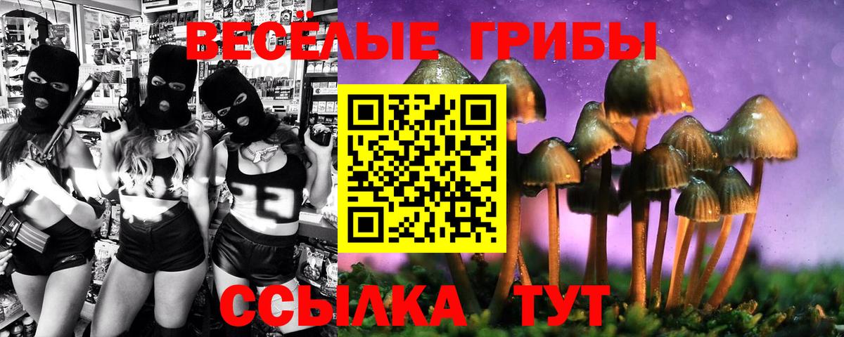 Галлюциногенные грибы Psilocybine cubensis  Галлюциногенные грибы Psilocybe  Вход с VPN  Коркино 